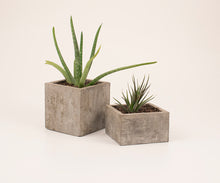 Vako Planter