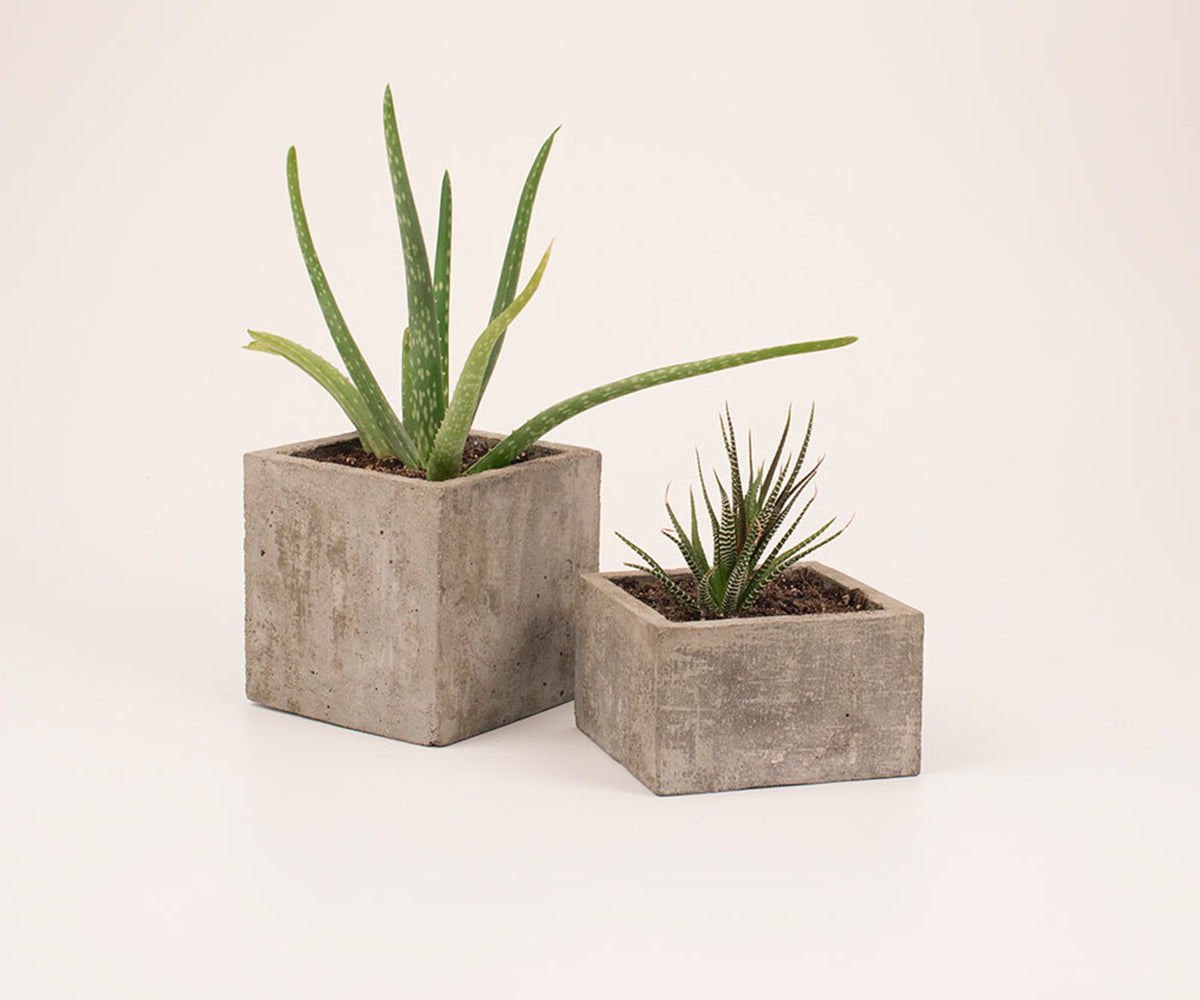Vako Planter